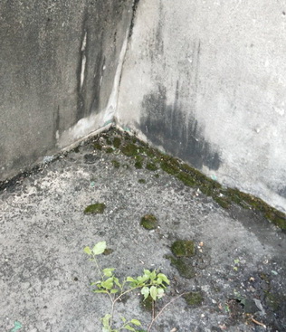 彰化屋頂防水；彰化防水抓漏，各式抓漏防水工程, 請撥TEL：0981-142-692謝先生