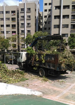 台南下營區樹木修剪, 台南下營區割草, 台南下營區庭園維護, 台南下營區園藝景觀設計